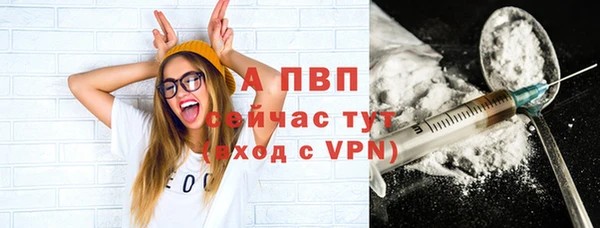 стафф Зеленокумск