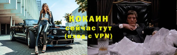 стафф Зеленокумск