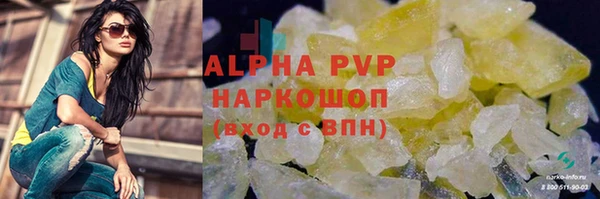 стафф Зеленокумск