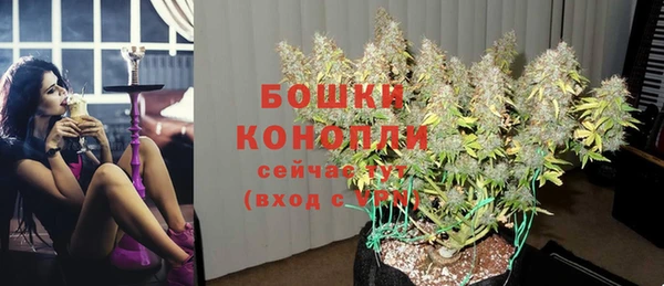 стафф Зеленокумск