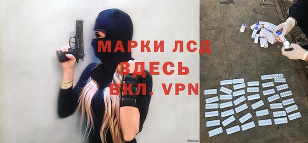 стафф Зеленокумск